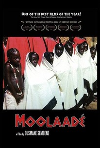 African Poster 7